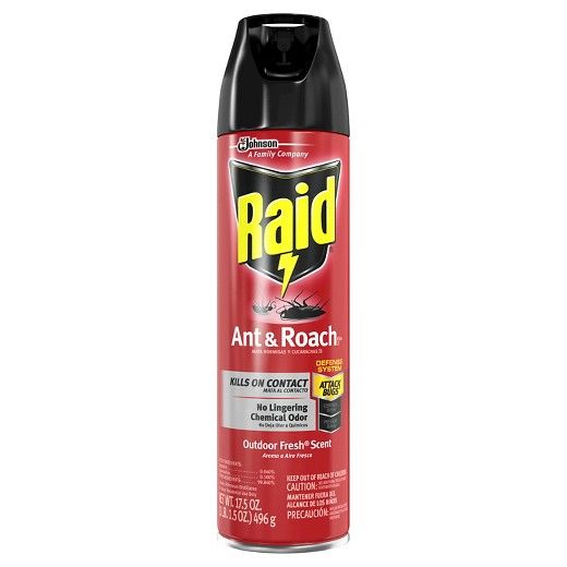 Raid Ant & Roach Outdoor Fresh 12/12oz